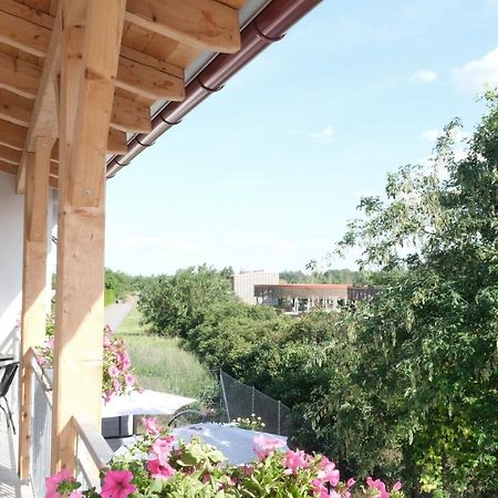 Apartmanovy Dum Na Kolonade Леднице Экстерьер фото
