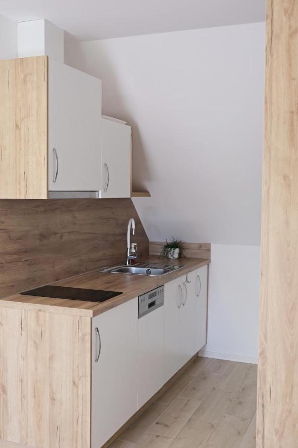 Apartmanovy Dum Na Kolonade Леднице Экстерьер фото